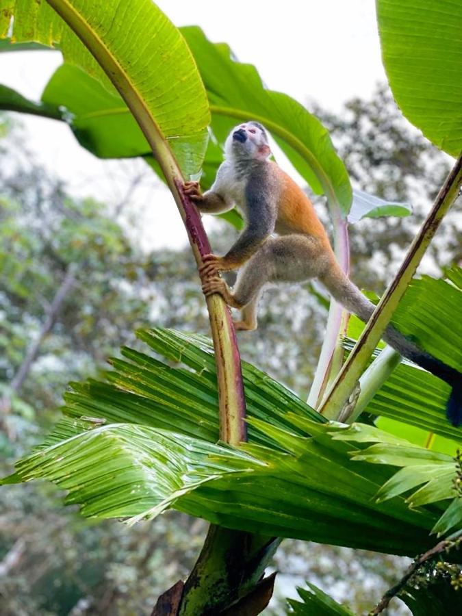 Suenos De Amor! Hermoso Y Acogedor Lugar Кепос Экстерьер фото