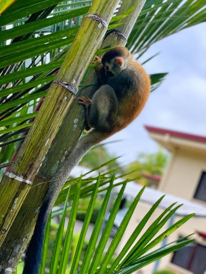 Suenos De Amor! Hermoso Y Acogedor Lugar Кепос Экстерьер фото